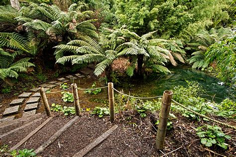 PHOTO: The Jungle at Lost Gardens of Heligan