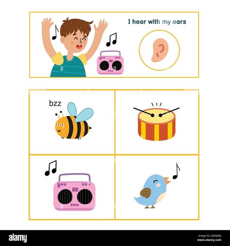 Five senses poster. Hearing sense presentation page for kids Stock Vector Image & Art - Alamy