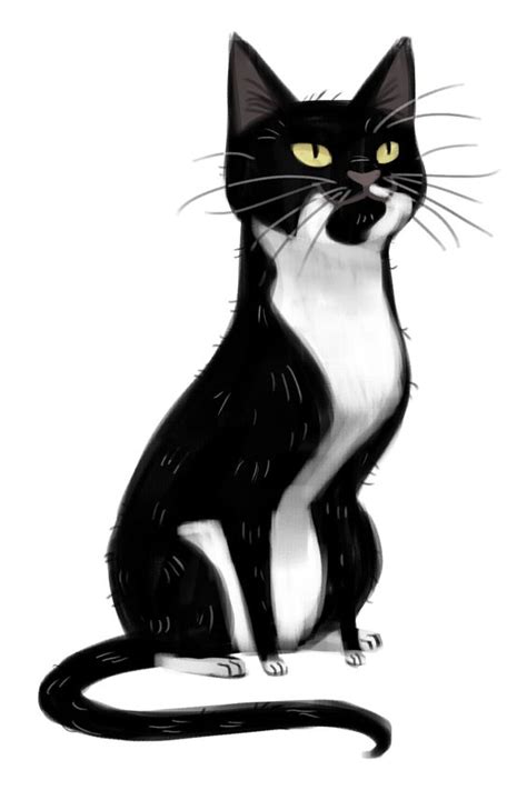 Tuxedo Cat Clipart | Free download on ClipArtMag