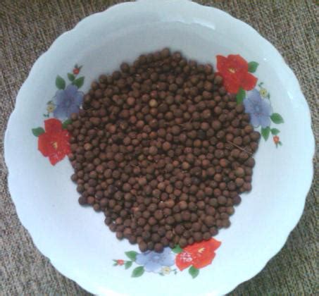 Jamaican Allspice / Pimento- The Secret To Delectable Jamaican Food