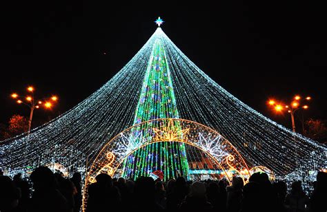 Choose your favorite Christmas Tree in Ukraine - Euromaidan Press