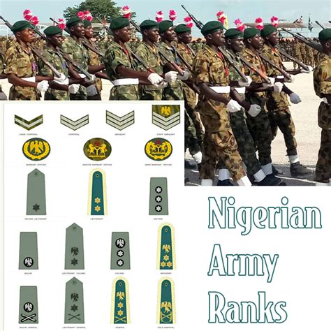 Nigerian Army Ranks and Salary Structure | The Updated List