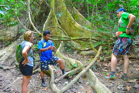 Thailand Jungle Trekking - Khao Sok Riverside Cottages