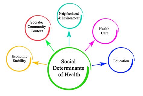 A Brief History of Social Determinants of Health | Mom's Meals