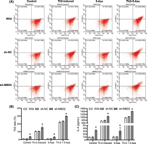 BIOCELL | Free Full-Text | MBD2 promotes Th2 differentiation in ...