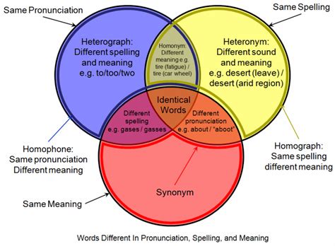 File:Homograph homophone venn diagram.png - Wikipedia