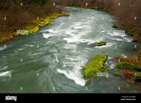 North Umpqua River from North Umpqua River National Recreation Trail ...