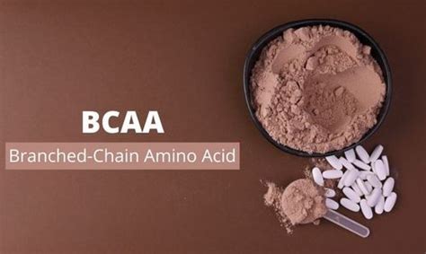 Top BCAA Supplements Of 2021 - Zzoomit