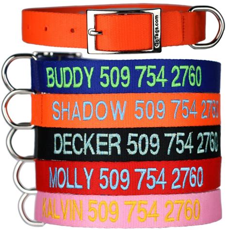 The Best Personalized Dog Collars For Your Puppy Or Adult Dog