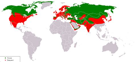 File:Gray Wolf Range.png - Wikimedia Commons