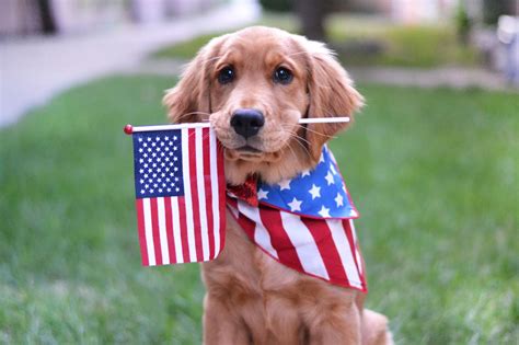 Patriotic Puppy - He and Me