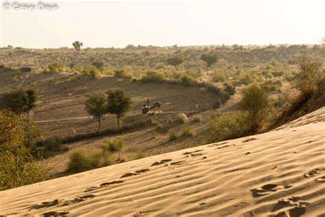 The Thar Desert, India - Gravy Days Fine Art Photography