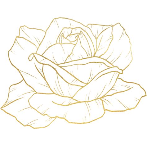 Rose Flower with gold line art 10313527 PNG
