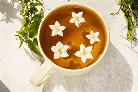 Jasmine Tea: What Does it Taste Like & Why Drink it? | PIQUE