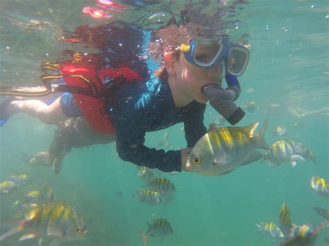 Snorkeling in Manuel Antonio - Quepos, Costa Rica