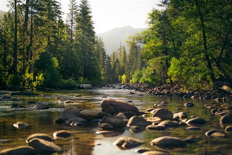 🔥 [40+] Sequoia National Park Wallpapers | WallpaperSafari