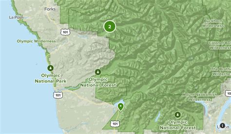 Hoh rainforest | List | AllTrails