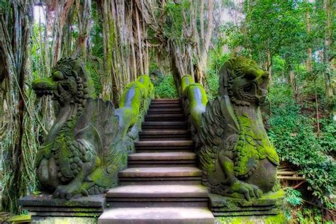 Sacred Monkey Forest Sanctuary, Ubud, Bali, Indonesia - a photo on Flickriver