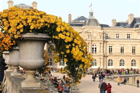 Where to Admire Pretty Autumn Colors and Fall Foliage in Paris ...