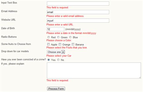 Programmers Sample Guide: jQuery form validation plugin example