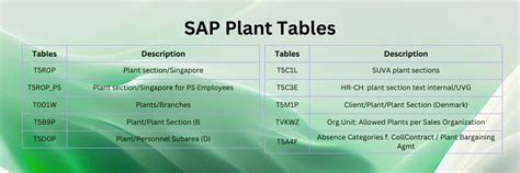 SAP Plant Tables : T001L and T001W