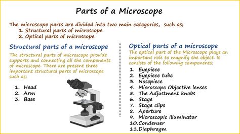 Parts Of A Microscope And Their Function