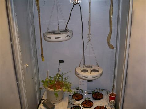 Apartment Hydroponics: My First Real Hydroponic Set Up.