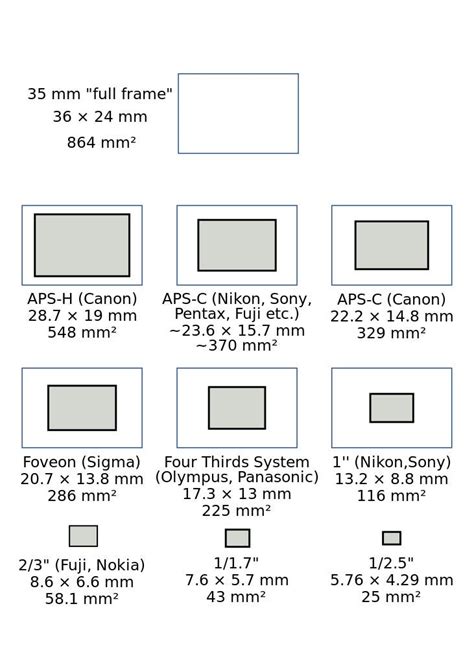 FAQ: What are the Different Camera Sensor Sizes? - ALC