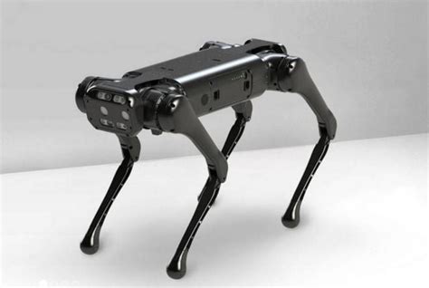 Unitree A1 Robot Dog | WordlessTech