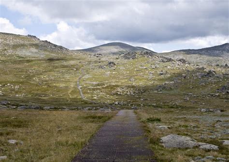 The Best Mount Kosciuszko National Park Tours, Tickets + Activities to ...