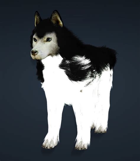 Black Desert Online [Tier 1] Snow Wolf Dog - BDO Fashion