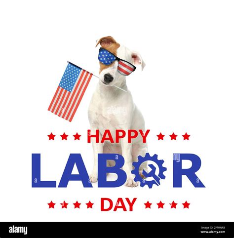 Happy Labor Day. Cute dog with sunglasses and American flag on white ...