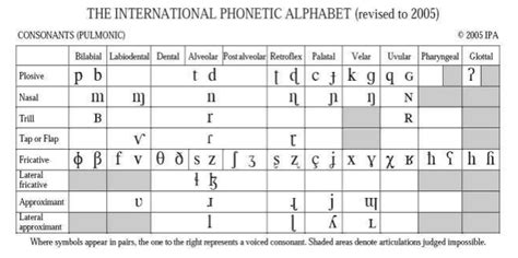 With the aid of a diagram, describe the consonant chart.