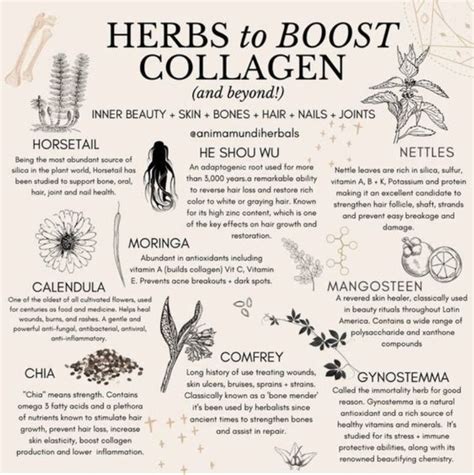 Pin by Akesha Santamarina on Make the Medicine | Medical herbs, Herbal ...