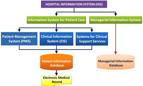 Patient Care and E-healthcare Information System Clinical Information... | Download Scientific ...