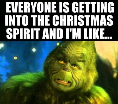 Funny Grinch Memes for Christmas - Lola Lambchops