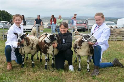 Record crowds supported Honley Show 2022