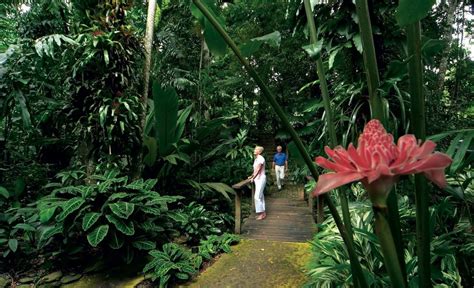 cairns-botanical-gardens-19793_1280x779 - Living + Nomads – Travel tips, Guides, News & Information!