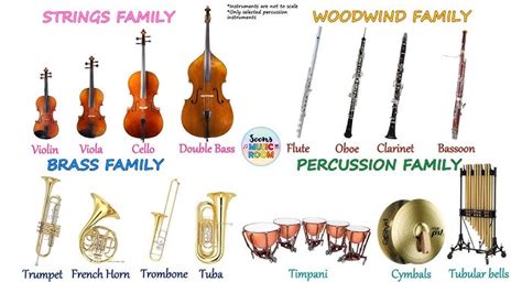 Used Instruments In Orchestra