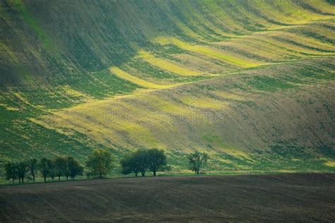 Moravian Fields stock image. Image of small, little - 110377525