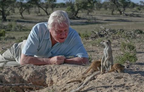 David Attenborough reveals his favourite animal stories - BBC News