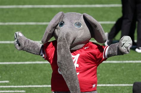 Mascot Alabama: Why is it An Elephant? - EducationWeb