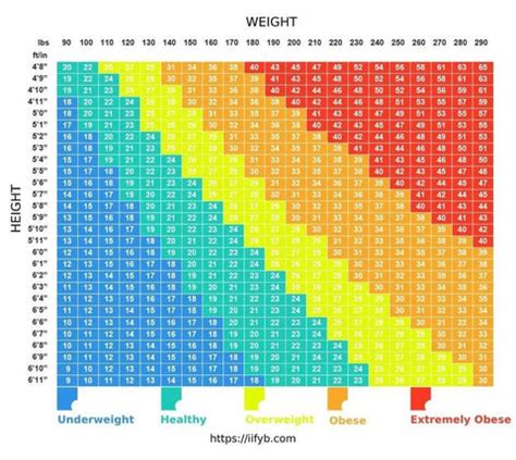 BMI vs Body Fat Percentage: Which Is Most Important? - SET FOR SET