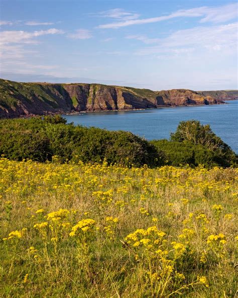 Barafundle Bay Walk: is this the best coastal walk in Wales? — Walk My ...