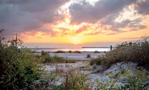 Edisto Beach Blog | EdistoBeach.com