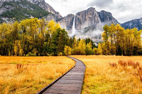 Autumn in Yosemite | Moss and Fog