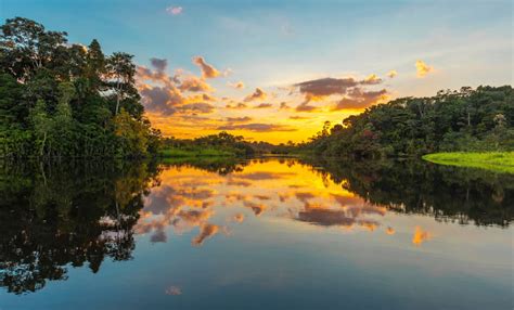 Floresta Amazônica: características e importância - Mundo Educação