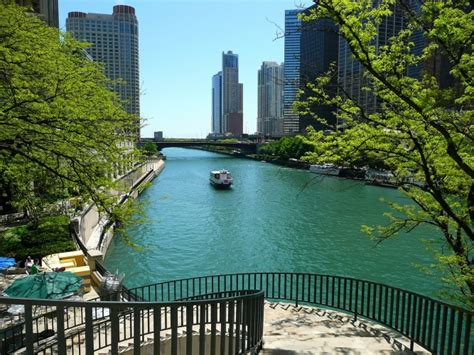 7 Best Pet-Friendly Hotels in Chicago (2024 Updated)