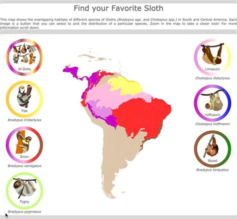 Sloth habitat map [Video] | Sloth, Wild animals painting, Sloth habitat