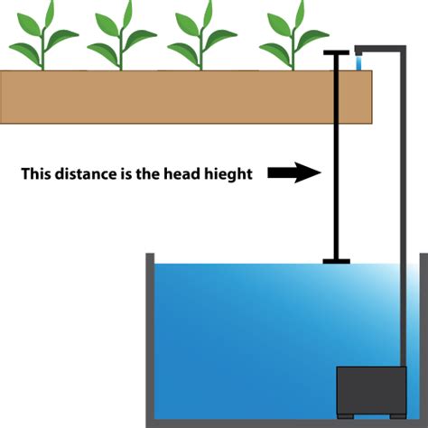 How To Choose The Best Water Pump For Your Hydroponic System - NoSoilSolutions